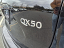 Thumbnail image of 2025 INFINITI QX50 at Circle Infiniti