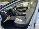 Thumbnail image of 2021 Nissan Maxima at Bronx Nissan