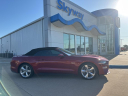 Thumbnail image of 2019 Ford Mustang at Skyway Honda