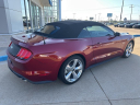 Thumbnail image of 2019 Ford Mustang at Skyway Honda