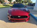 Thumbnail image of 2019 Ford Mustang at Skyway Honda