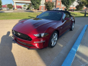 Thumbnail image of 2019 Ford Mustang at Skyway Honda