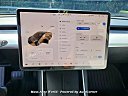 Thumbnail image of 2019 Tesla Model 3 at Mass Auto World