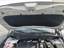Thumbnail image of 2023 Hyundai SANTA FE at Tapp Motors