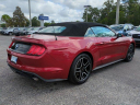 Thumbnail image of 2023 Ford Mustang at Jenkins Subaru of Ocala - NEW