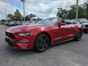 Thumbnail image of 2023 Ford Mustang at Jenkins Subaru of Ocala - NEW
