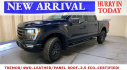 Thumbnail image of 2023 Ford F-150 at Metro Ford (NY)