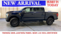Thumbnail image of 2023 Ford F-150 at Metro Ford (NY)