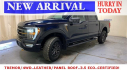 Thumbnail image of 2023 Ford F-150 at Metro Ford (NY)