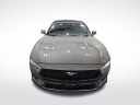 Thumbnail image of 2024 Ford Mustang at Burkart Ford