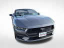 Thumbnail image of 2024 Ford Mustang at Burkart Ford