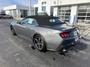 Thumbnail image of 2024 Ford Mustang at Burkart Ford