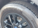 Thumbnail image of 2022 Ford Escape at Avis Ford