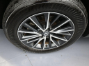Thumbnail image of 2024 Lexus NX 250 at Miami Lakes Automall