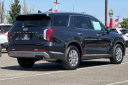 Thumbnail image of 2024 Hyundai PALISADE at VacavilleNissan - NEW