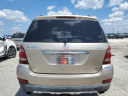 Thumbnail image of 2007 Mercedes-Benz GL-Class at 4:19 AUTO SALES LTD