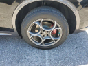 Thumbnail image of 2023 Alfa Romeo Stelvio at AirportChryslerDodgeJeepUSED of Orlando, FL