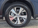 Thumbnail image of 2024 Subaru Ascent at PremierSubaruKia-USED of Branford, CT
