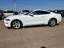 Thumbnail image of 2020 Ford Mustang at Kirk Auto Company