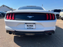 Thumbnail image of 2020 Ford Mustang at Kirk Auto Company