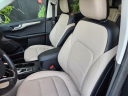 Thumbnail image of 2022 Ford Escape at Northtowne Auto Group
