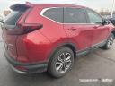 Thumbnail image of 2022 Honda CR-V at Tamaroff Nissan Honda