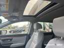 Thumbnail image of 2022 Honda CR-V at Tamaroff Nissan Honda
