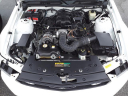 Thumbnail image of 2007 Ford Mustang at Duncan Ford Chrysler