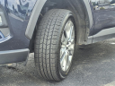 Thumbnail image of 2023 Toyota RAV4 at Acra Automotive Group