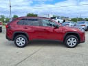 Thumbnail image of 2020 Toyota RAV4 at Roberts Ford