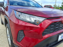 Thumbnail image of 2020 Toyota RAV4 at Roberts Ford
