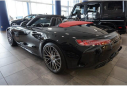 Thumbnail image of 2018 Mercedes-Benz AMG GT at Mercedes-Benz Of Palm Beach