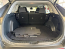 2020 Toyota RAV4 XLE at Five Star Chevrolet-cadillac