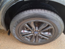 Thumbnail image of 2020 Ford Edge at A & B Motors