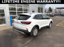 Thumbnail image of 2023 Ford Escape at Gross Chevrolet Buick Chrysler, Dodge, Jeep, Ram Motors Inc.