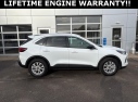 Thumbnail image of 2023 Ford Escape at Gross Chevrolet Buick Chrysler, Dodge, Jeep, Ram Motors Inc.