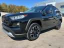 Thumbnail image of 2021 Toyota RAV4 at Gillie Hyde Ford-Linc-Merc-Chy