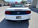 Thumbnail image of 2020 Ford Mustang at Cumberland Ford Lincoln