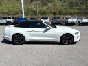 Thumbnail image of 2020 Ford Mustang at Cumberland Ford Lincoln