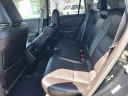 Thumbnail image of 2017 Acura RDX at The New Babylon Honda