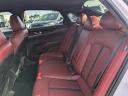 Thumbnail image of 2024 Kia K5 at Daytona Kia - New