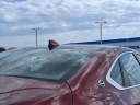 Thumbnail image of 2019 Chevrolet Impala at Kings Mazda