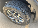 Thumbnail image of 2022 GMC Sierra 1500 at Janzen Gmc