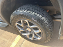 Thumbnail image of 2022 GMC Sierra 1500 at Janzen Gmc