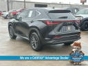 Thumbnail image of 2023 Lexus NX 350 at McKinney-Wells Auto Group