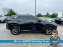 Thumbnail image of 2023 Lexus NX 350 at McKinney-Wells Auto Group
