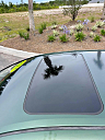Thumbnail image of 2015 Toyota Corolla at Kahler Auto Sales LLC