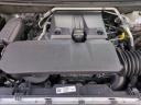 2024 GMC Canyon Elevation at CarlBlackBuickPontiacGmcOfOrlandoUSED of Orlando, FL