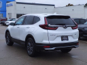 2020 Honda CR-V EX at Serra Buick Gmc Champaign