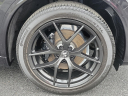 Thumbnail image of 2021 Alfa Romeo Stelvio at R and R Auto Group